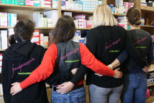Logo der frosch Apotheke in der Münchener Straße